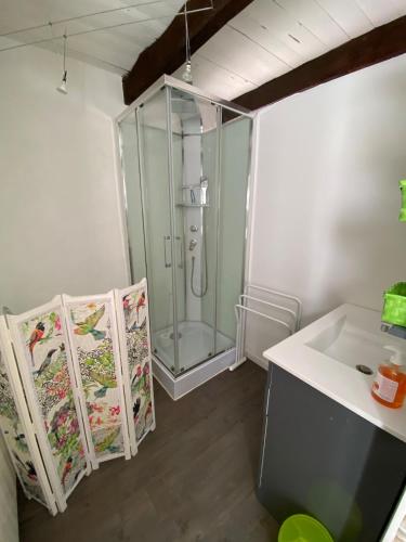 une salle de bain avec douche et lavabo dans l'établissement La Maison de Jeanne, à Tour-de-Faure