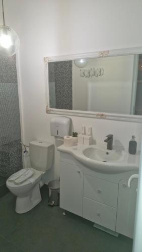 a white bathroom with a toilet and a sink at Casa Damian DROBETA in Drobeta-Turnu Severin