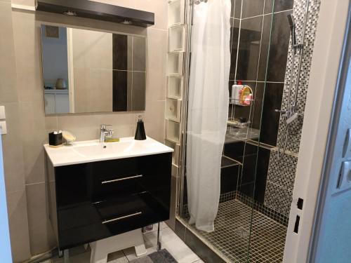 une salle de bain avec un lavabo et une douche dans l'établissement Stockholm, à Rennes