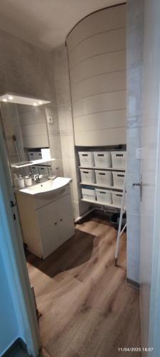une salle de bain avec un lavabo et un miroir dans l'établissement Appartement Type F2 climatise entre plage et port, à Argelès-sur-Mer