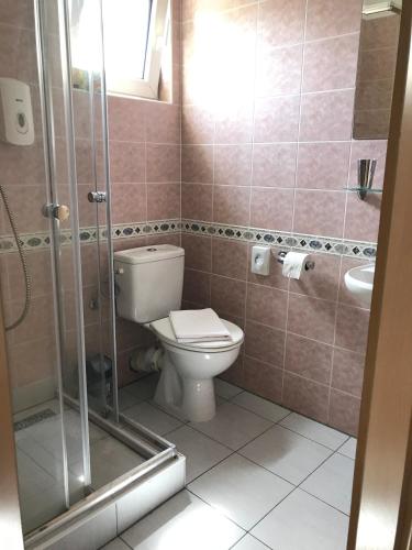 a bathroom with a toilet and a shower and a sink at Hotel Orlan in Bratislava