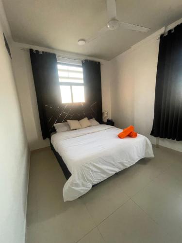 Entire apartment in Ajman UAE