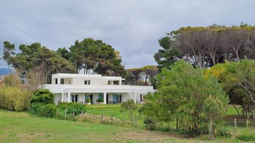 a large white house in a field with trees at Villa Agapanto in Paestum