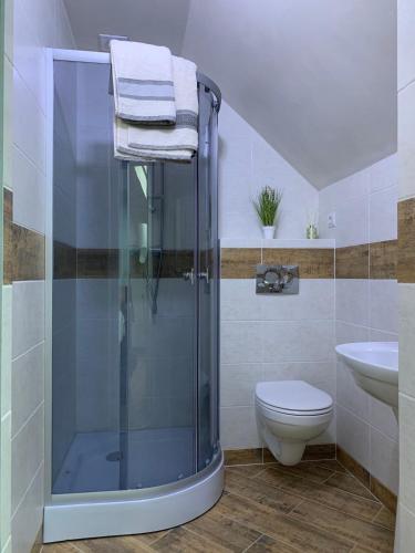 a bathroom with a shower and a toilet and a sink at Retreat in Svalyava