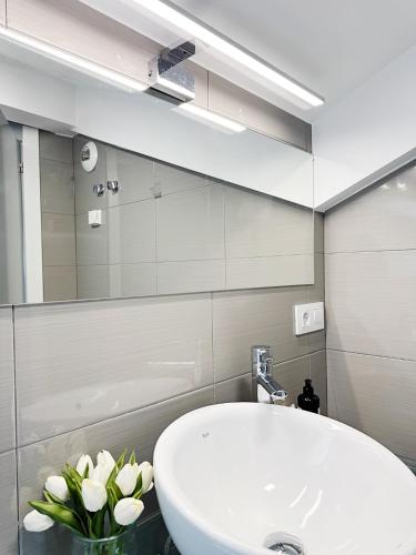 a bathroom with a sink and a mirror at Llanes Suites in Llanes