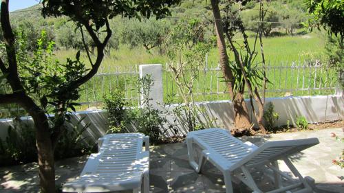 two blue chairs sitting next to a tree at Sandalis Hotel in Pythagoreio