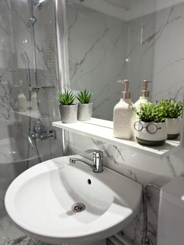 a white sink in a bathroom with plants on a shelf at Studio Parc Romanescu in Craiova
