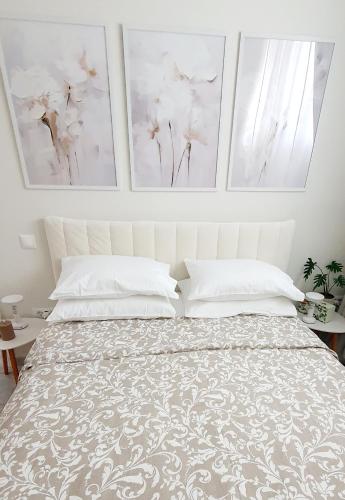 Jasmine Home, Aegina City