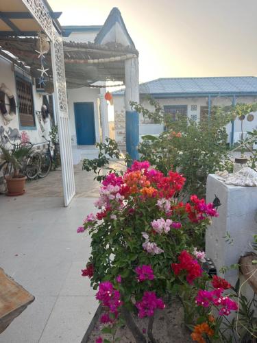 a bunch of flowers in front of a building at Salem Fish Guest House in Al Ḩadd