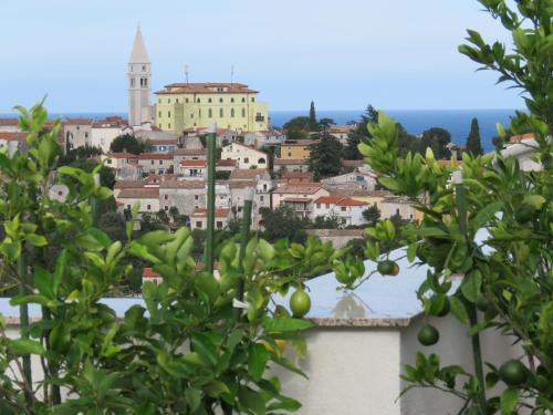Gallery image of Apartments Villa Urbajs in Vrsar