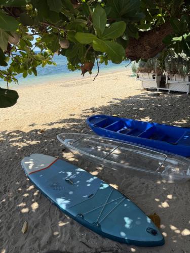 two surfboards sitting on the beach under a tree at Seastar Resort By ZACE in Santiago