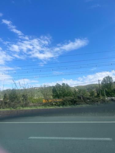 appartement avec vue forêt