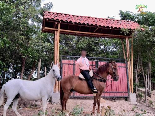 a man riding a horse next to a white horse at El Eden Glamping cabañas Girardot in Girardot
