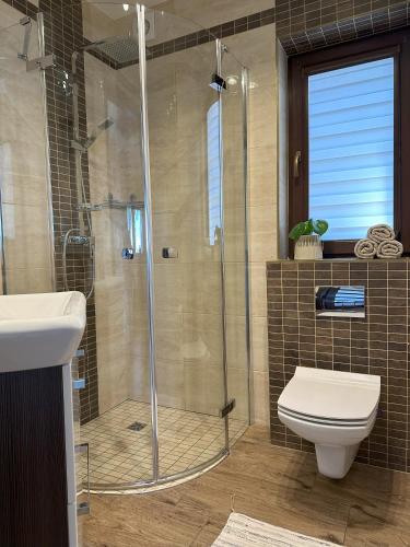 a bathroom with a shower and a toilet and a sink at Ostoja Jeziorak Jezierzyce in Makowo
