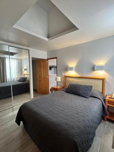 a bedroom with a large bed and a mirror at Suites Arquimedes 33 in Mexico City