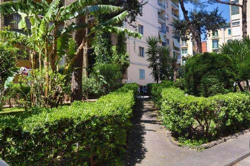 Diana Panoramic Apartment photo 54