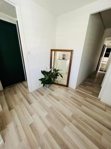 un couloir avec un miroir et une plante en pot dans l'établissement Maison de ville château Gombert, à Marseille
