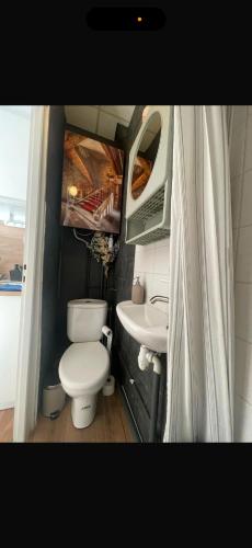 une petite salle de bain avec toilettes et lavabo dans l'établissement Le Dauphine, à Dijon