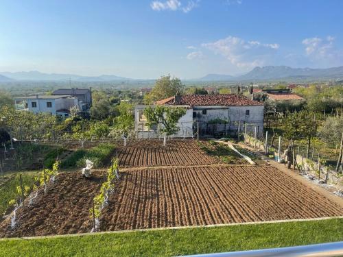 a garden on a hill with a house in the background at Ejlli Villa in Kalmet