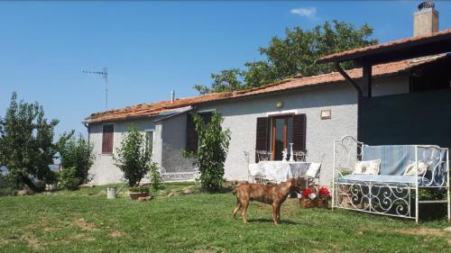 a dog standing in front of a house at Il poggetto di Barbara Casa Grigia in Montorgiali
