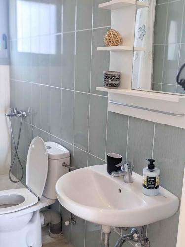a bathroom with a toilet and a sink at Panorama Inn in Lithakia