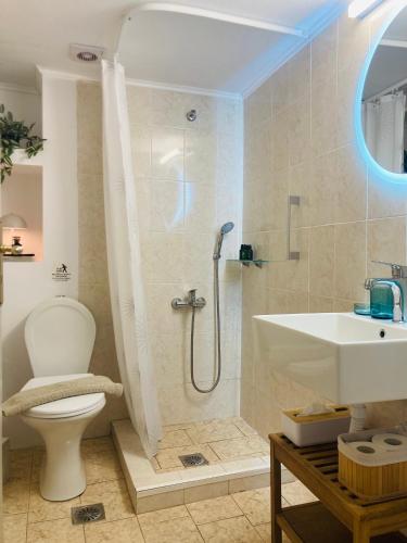 a bathroom with a shower and a toilet and a sink at Selini Apartments Mani in Agios Nikolaos