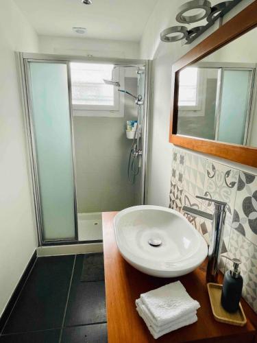 une salle de bain avec un lavabo et une douche dans l'établissement Cozy house with hot tub and tiki bar, à Capbreton
