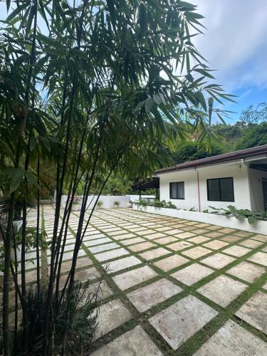 a tree in front of a house at Villa del Sol 1 Barkada Rooms in Guinauayan