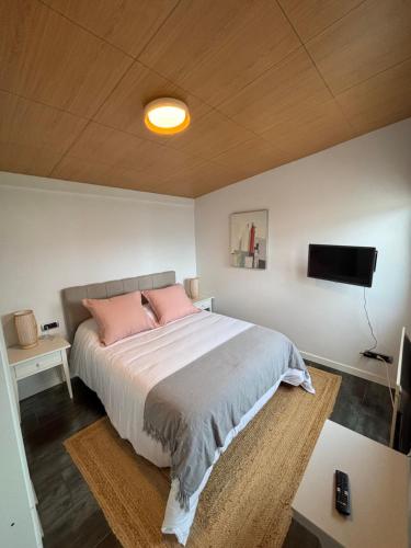 a bedroom with a bed with pink pillows and a tv at La Casita de Mari in Moaña