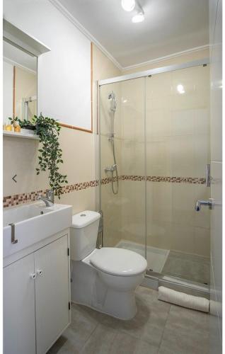 a bathroom with a toilet and a shower and a sink at Ático Céntrico Estepona in Estepona