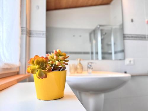 a yellow potted plant sitting on a counter next to a sink at Drolive apartment in Dro