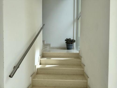 a staircase with a potted plant in a building at Drolive apartment in Dro