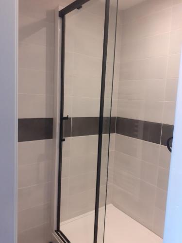 une douche avec une porte vitrée dans une salle de bain dans l'établissement GITE Le Petit Doué, à Saint-Malo-du-Bois