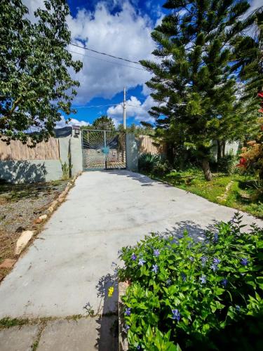 Un jardín fuera de Jungle Room
