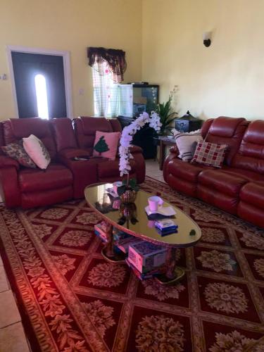 a living room with a couch and a coffee table at Kingmosei Hide away in Basse Terre Town