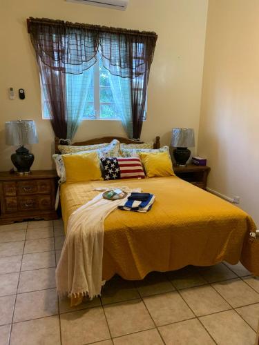 a bedroom with a yellow bed with an american flag on it at Kingmosei Hide away in Basse Terre Town