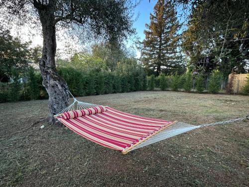 a hammock tied to a tree in a yard at Villa Danai in Gouvia