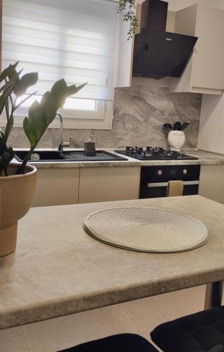 a kitchen with a table with a plant on a counter at inas apartments 2 in Lefkímmi
