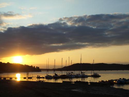 a group of boats docked in the water at sunset at Forsthaus am Möhnesee in Möhnesee