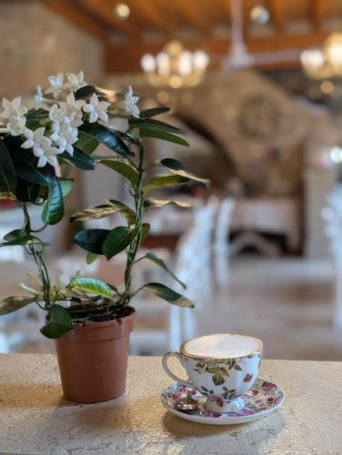 a potted plant and a cup of coffee on a table at Agriturismo le Fontanelle da Valente in Montichiari
