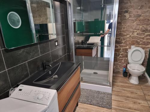 une petite salle de bain avec un lavabo et des toilettes dans l'établissement L'apaisant, à Rodez