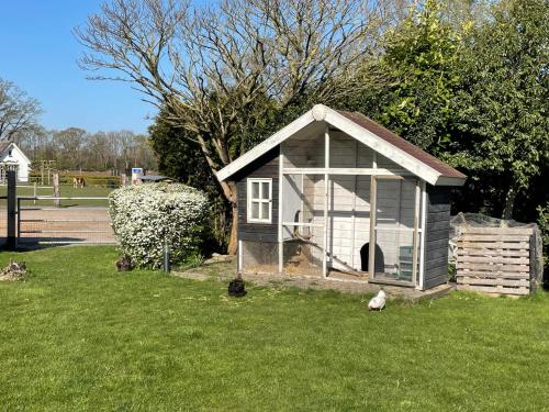 a small chicken coop with chickens in the grass at Landelijk Hijken in Hijken