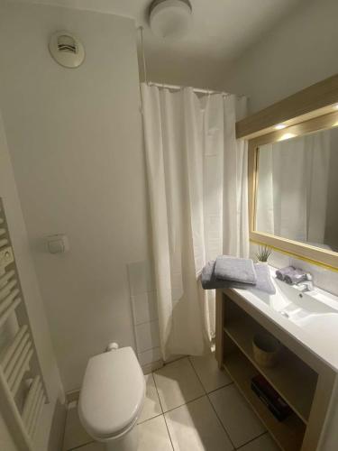 une salle de bain avec toilettes, lavabo et miroir dans l'établissement Charming studio with swimming pool, à Nice