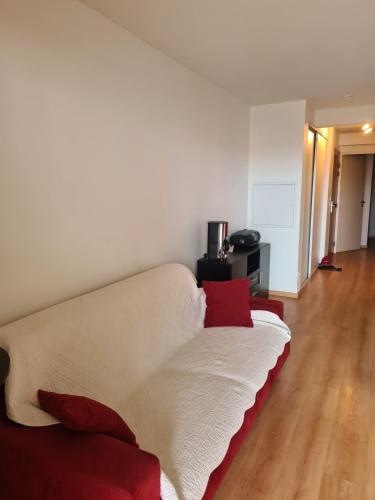 - un canapé blanc avec des oreillers rouges dans le salon dans l'établissement Appartement a 50m de la plage, à Biscarrosse
