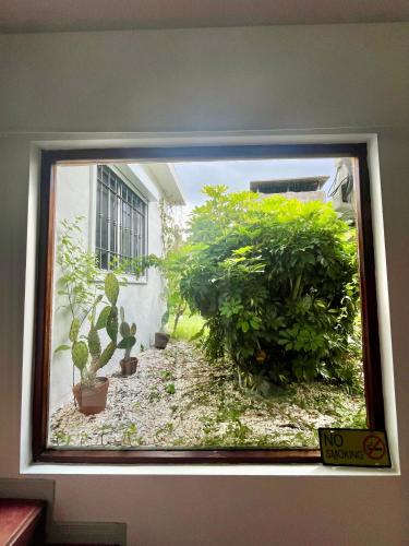 a window with a view of a garden with plants at Viento Azul Guest House in Punta del Este