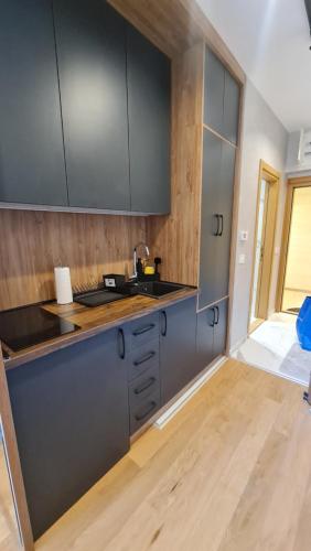 a kitchen with gray cabinets and a sink at Centar Balkan Square in Zlatibor