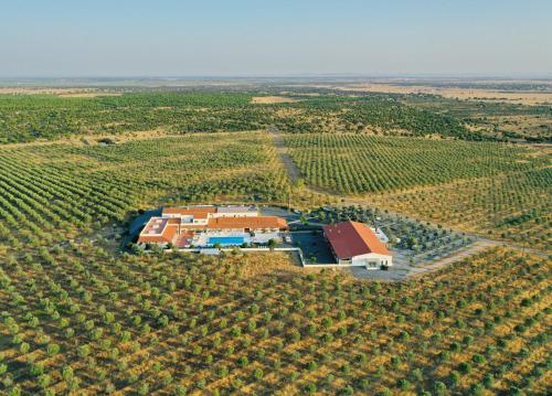 an aerial view of a building in a vineyard at Sesmarias Turismo Rural & SPA in Peroguarda