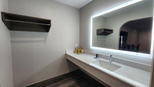 a bathroom with a sink and a mirror at Hotel Park Place in Houston
