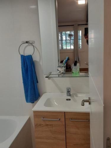 a bathroom with a sink and a blue towel at La cabaña de Paredes in Paredes de Buitrago