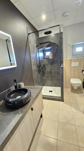 une salle de bain avec un lavabo et une douche dans l'établissement Le Vercingétorix 2 #Confort, à Aubière